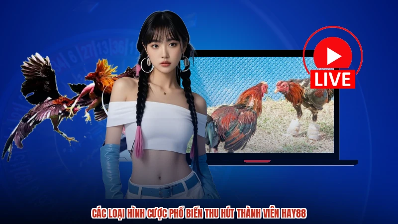 Các loại hình cược phổ biến thu hút thành viên HAY88