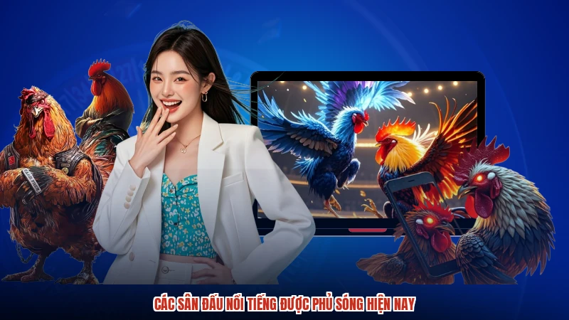 Các sân đấu nổi tiếng được phủ sóng hiện nay
