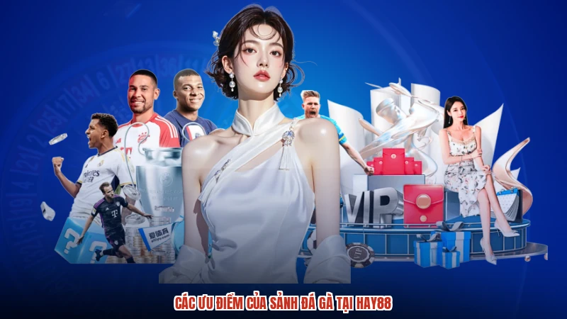 Các ưu điểm của sảnh đá gà tại HAY88