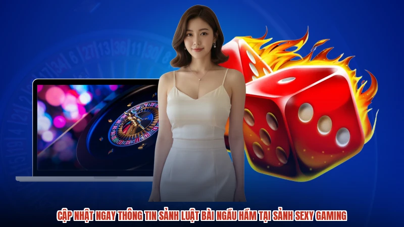 Cập nhật ngay thông tin sảnh luật bài ngầu hầm tại sảnh sexy gaming