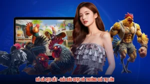 Đá Gà Cựa Sắt - Giải Đấu Cược Và Thưởng Giá Trị Lớn