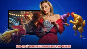 Đá Gà Cựa Sắt Thomo Tại HAY88 Cẩm Nang Cược Cho Người Mới