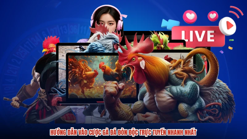 Hướng dẫn vào cược gà đá đòn độc trực tuyến nhanh nhất