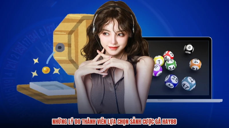 Những lý do thành viên lựa chọn sảnh cược gà HAY88