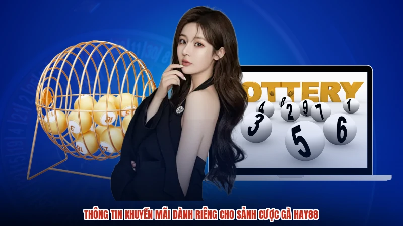 Thông tin khuyến mãi dành riêng cho sảnh cược gà HAY88